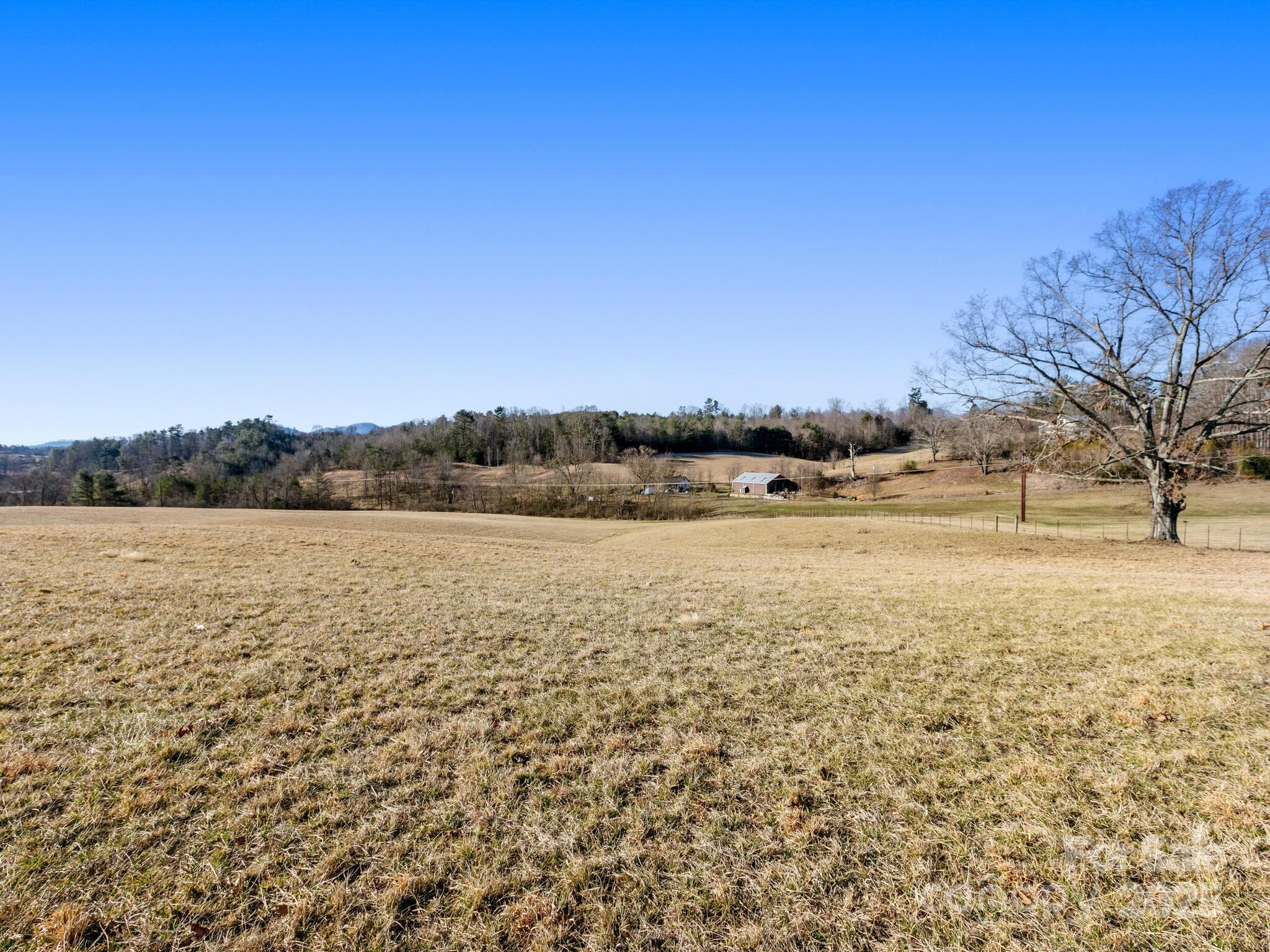 99999 Mag Sluder Road Alexander, NC 28701 - Photo 11 of 12 Gallery Image 11