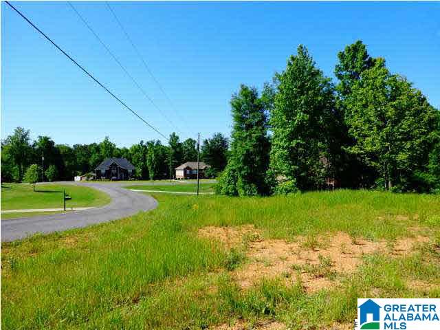 0 Riverview Drive, Unit 116 Cleveland, AL 35049 - Photo 24 of 30