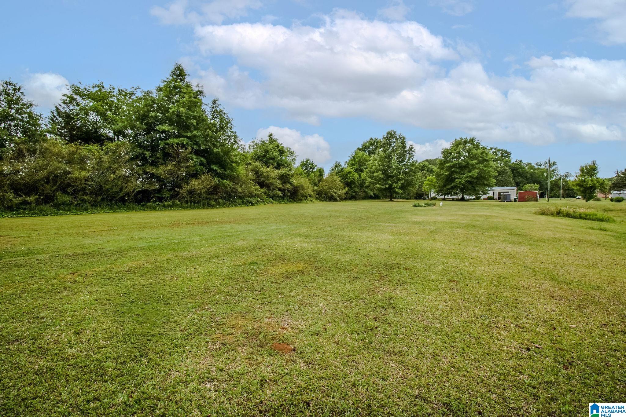 800 Curry Station Road Munford, AL 36268 - Photo 28 of 47