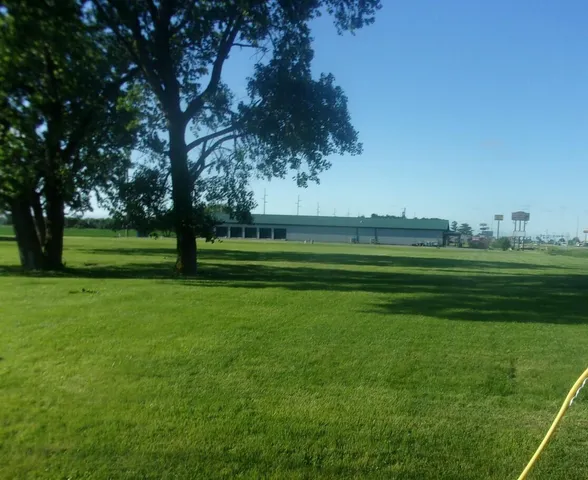 a backyard of a house and a large tree