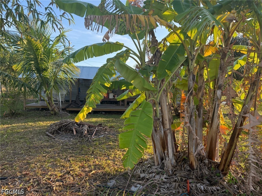 6724 5th Road LaBelle, FL 33935 - Photo 12 of 28 a view of a park with large trees