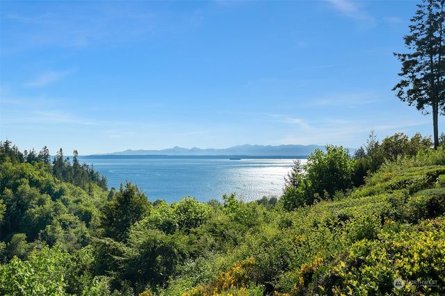a view of a lake from a yard