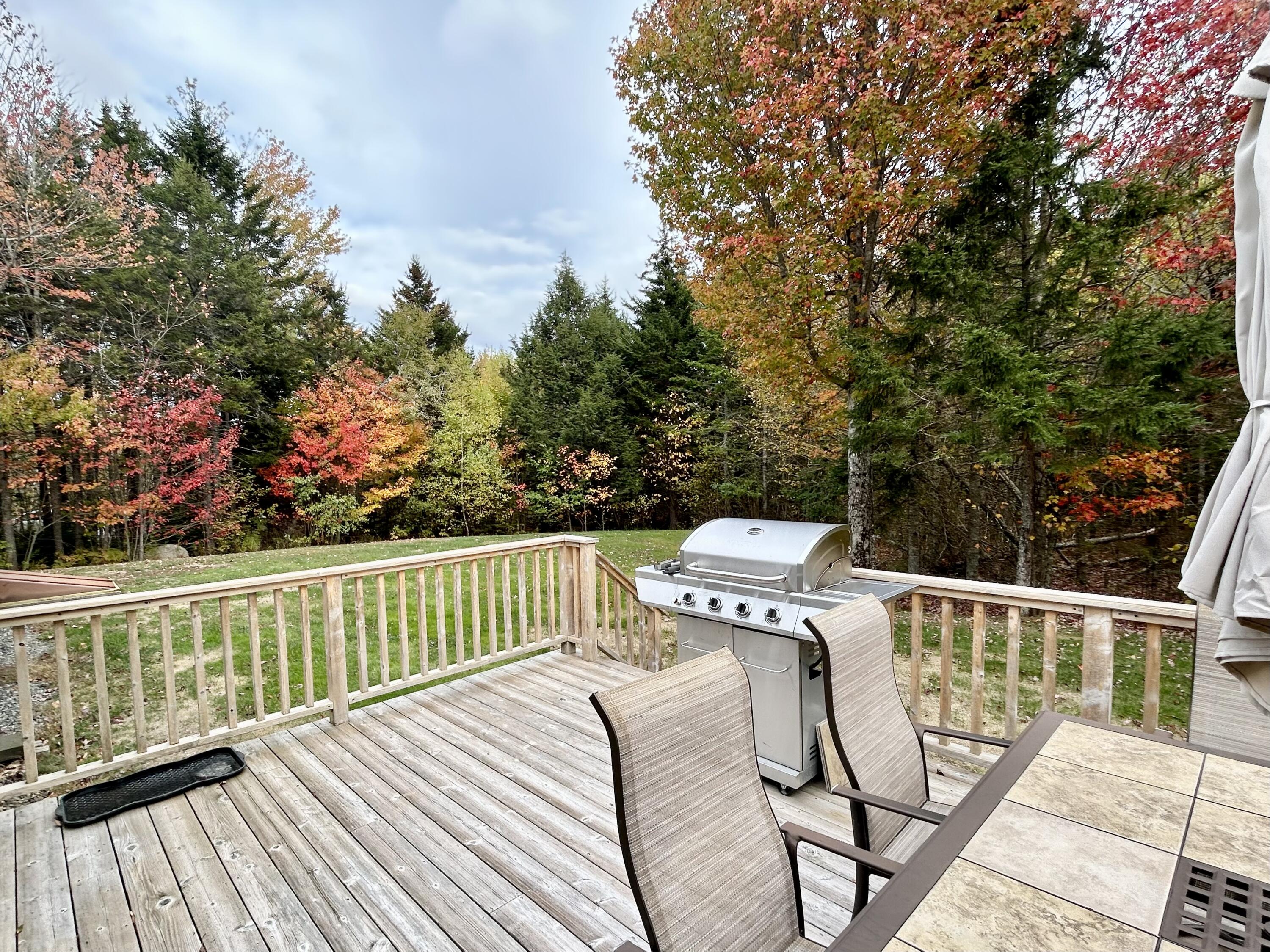 18 Tamarac Road Ellsworth, ME 04605 - Photo 6 of 40 Private rear yard