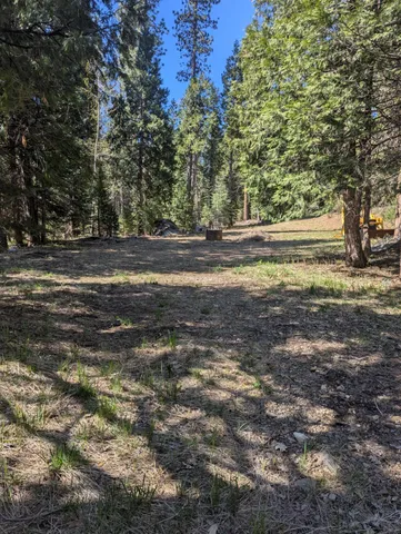 a view of dirt field with trees