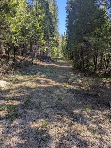 a view of dirt yard with a trees