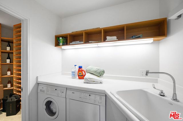 a view of a forest filled with trees