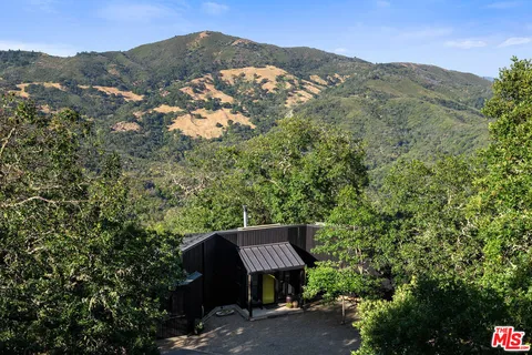 a view of a forest with a mountain in the background