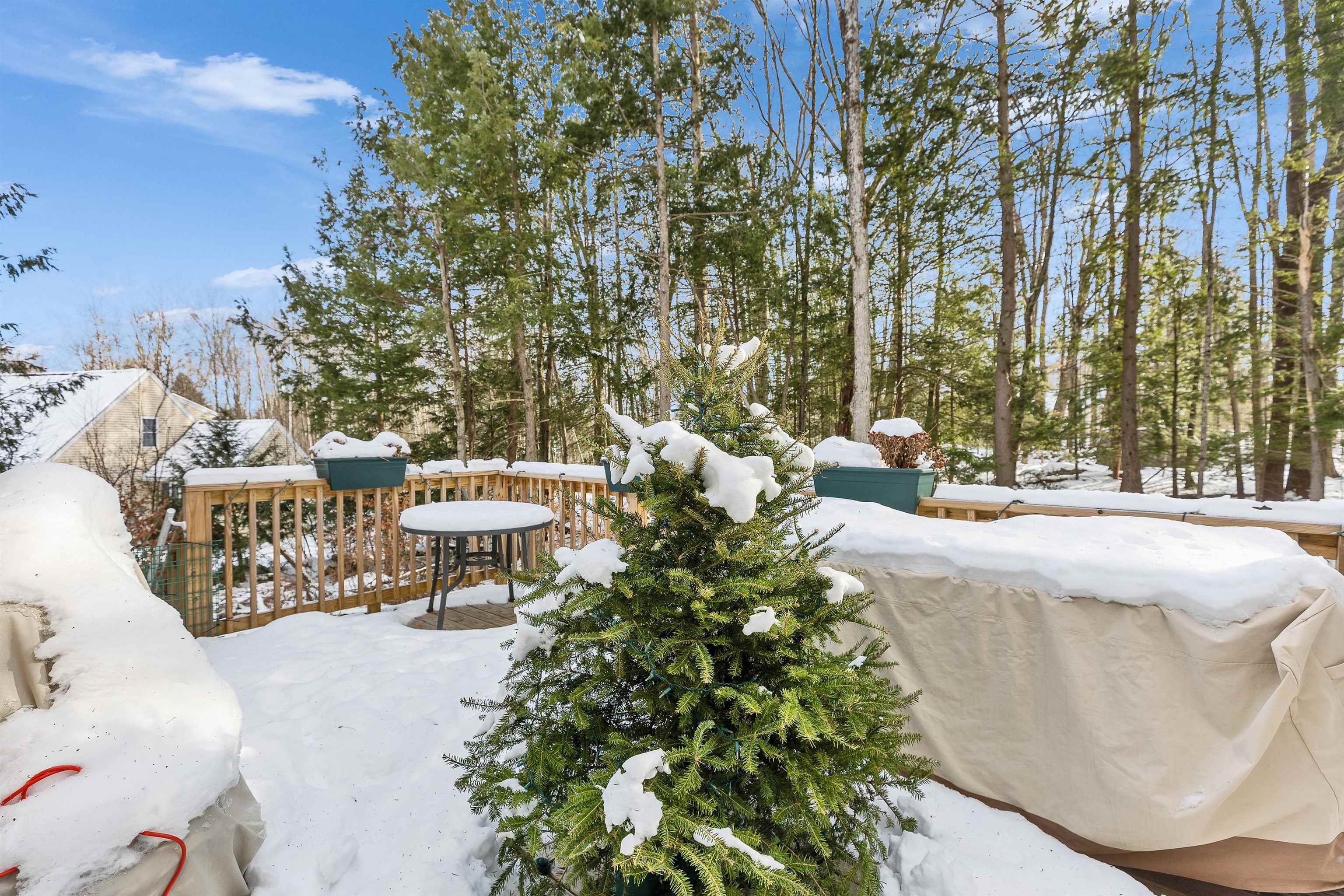 13 Acadia Avenue Antrim, NH 03440 - Photo 40 of 45