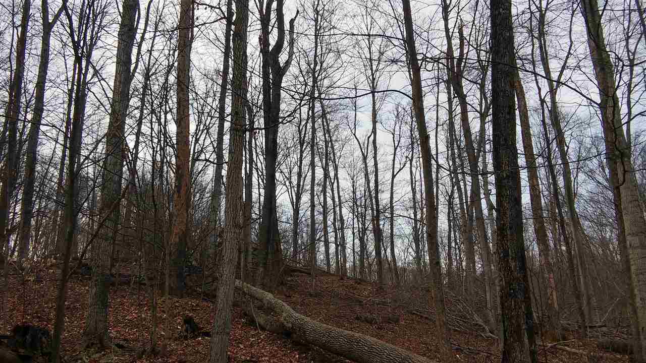 910 Nugent Road Frankfort, MI 49635 - Photo 27 of 38 1813742-27.JPG
