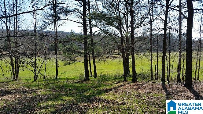 Turner Mill Road Talladega, AL 35160 - Photo 2 of 10
