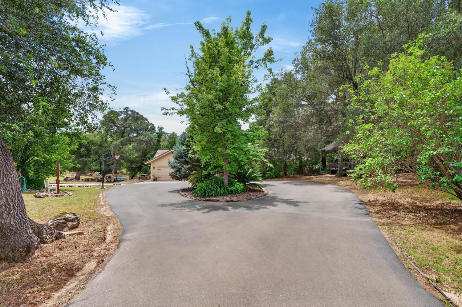 4920 Upson Downs Road Newcastle, CA 95658 - Photo 87 of 98 Circular driveway