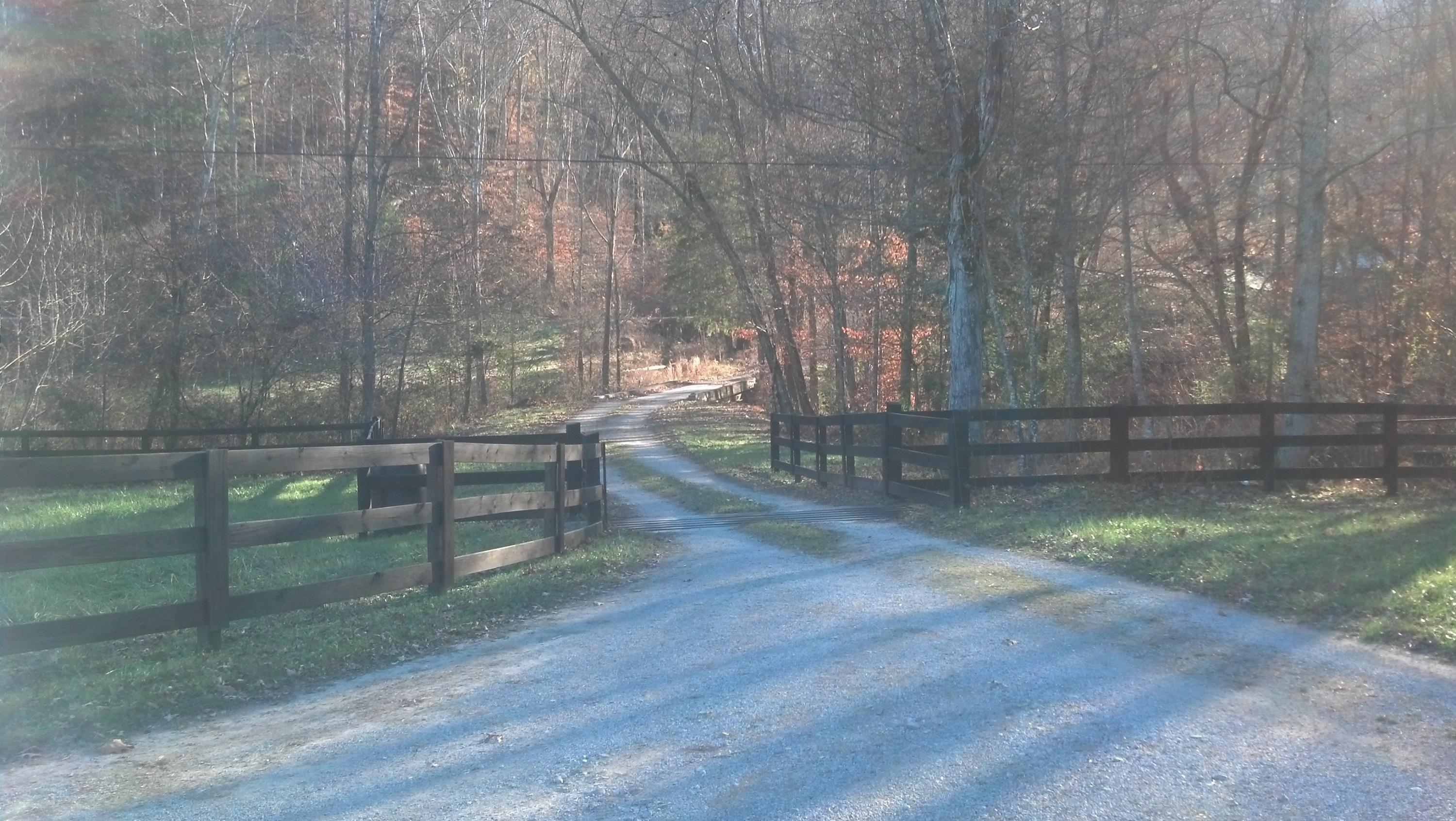7807 Gum Fork Road Winfield, TN 37892 - Photo 12 of 40 taggedSet_content#x3a##x47##x47#media#x4