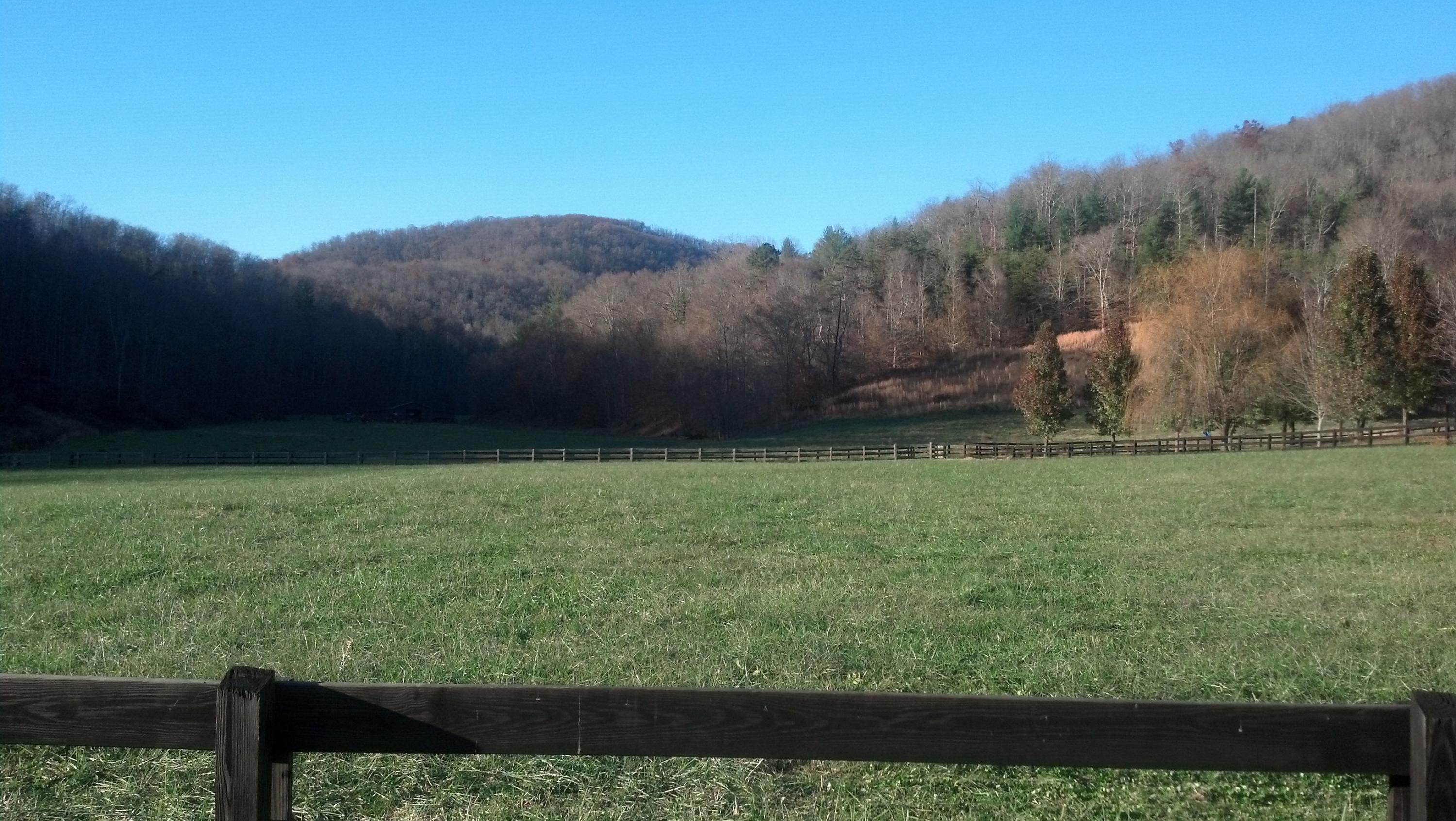 7807 Gum Fork Road Winfield, TN 37892 - Photo 15 of 40 taggedSet_content#x3a##x47##x47#media#x4