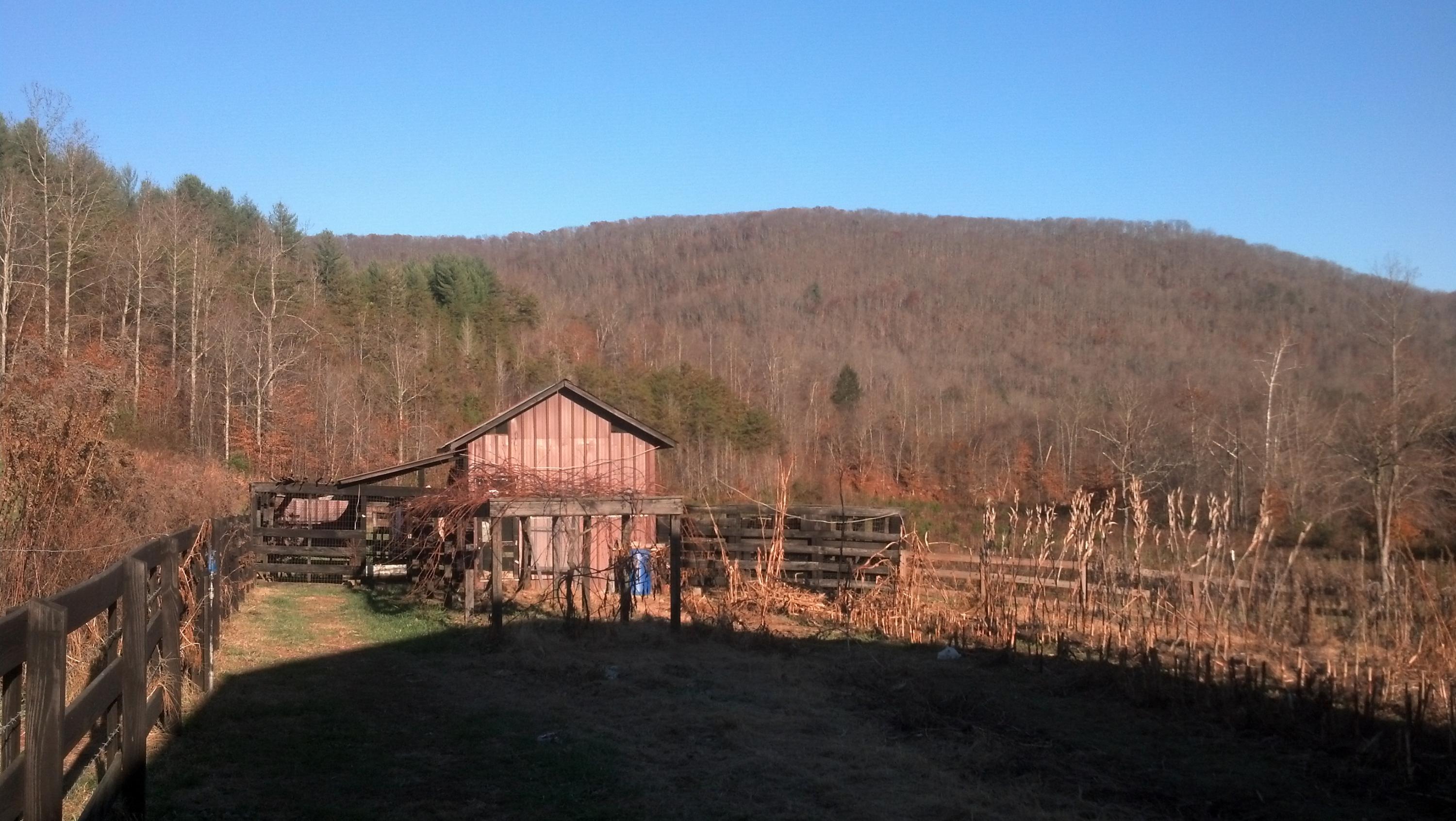 7807 Gum Fork Road Winfield, TN 37892 - Photo 17 of 40 taggedSet_content#x3a##x47##x47#media#x4
