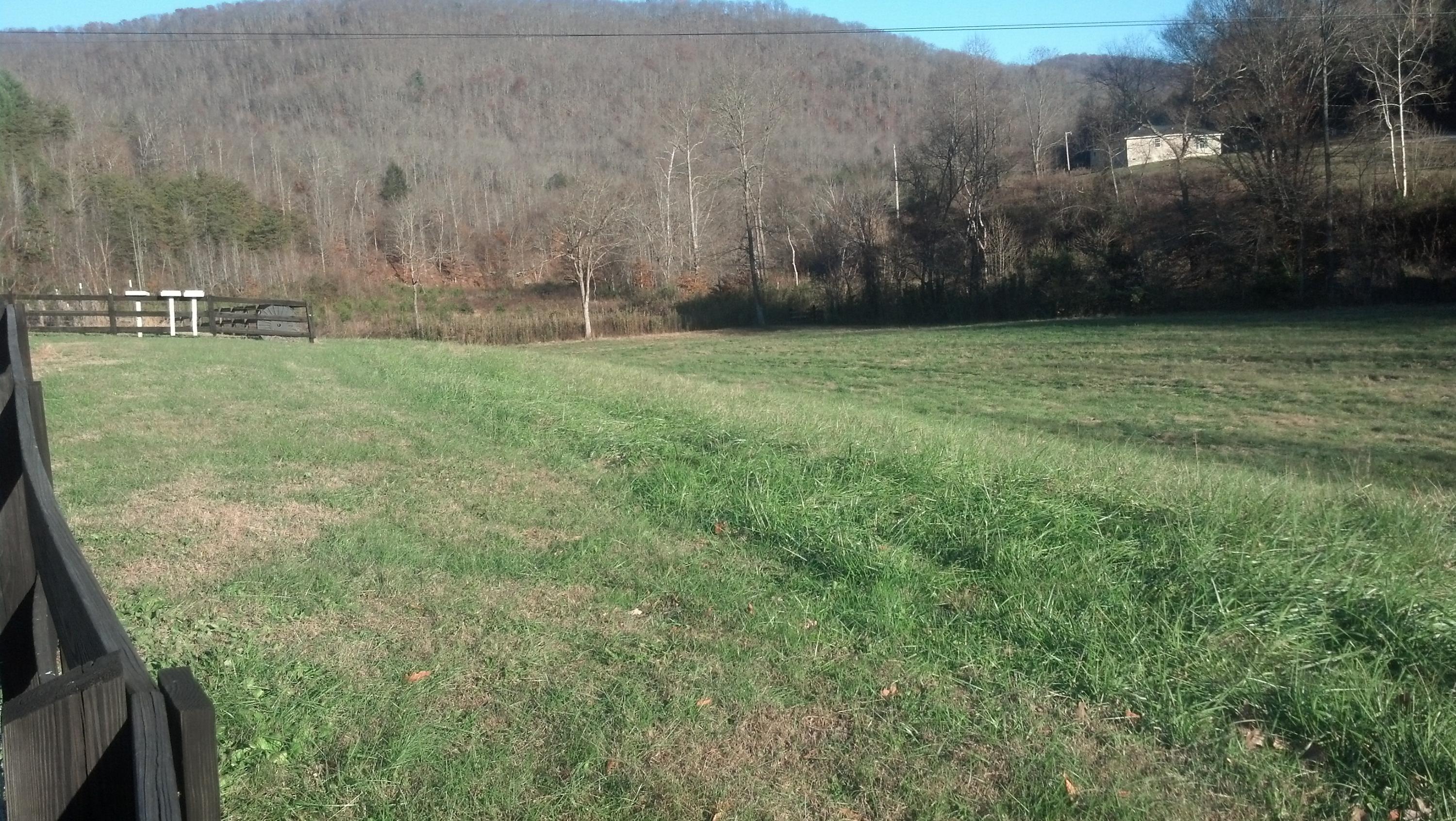 7807 Gum Fork Road Winfield, TN 37892 - Photo 19 of 40 taggedSet_content#x3a##x47##x47#media#x4