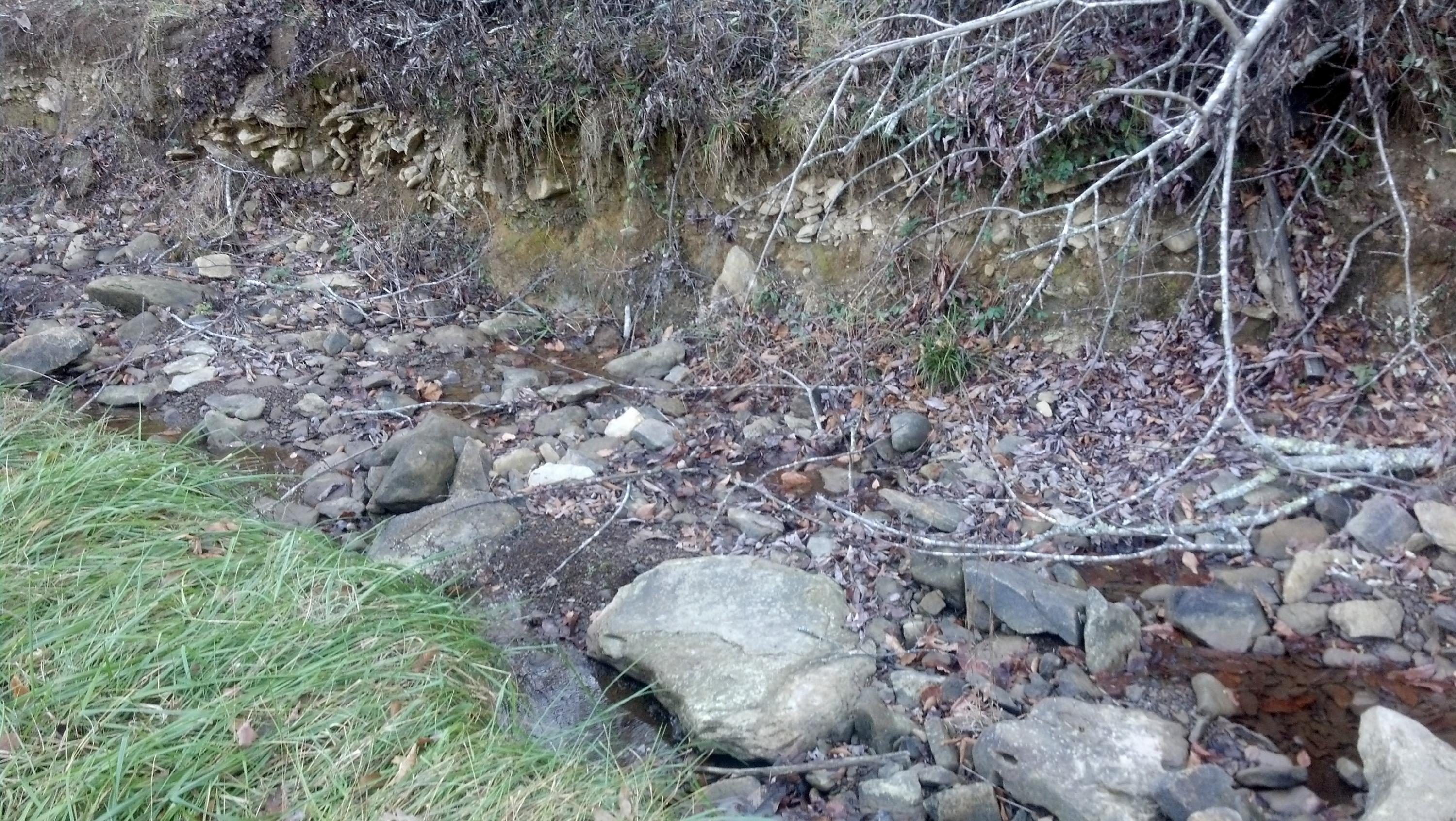 7807 Gum Fork Road Winfield, TN 37892 - Photo 22 of 40 taggedSet_content#x3a##x47##x47#media#x4