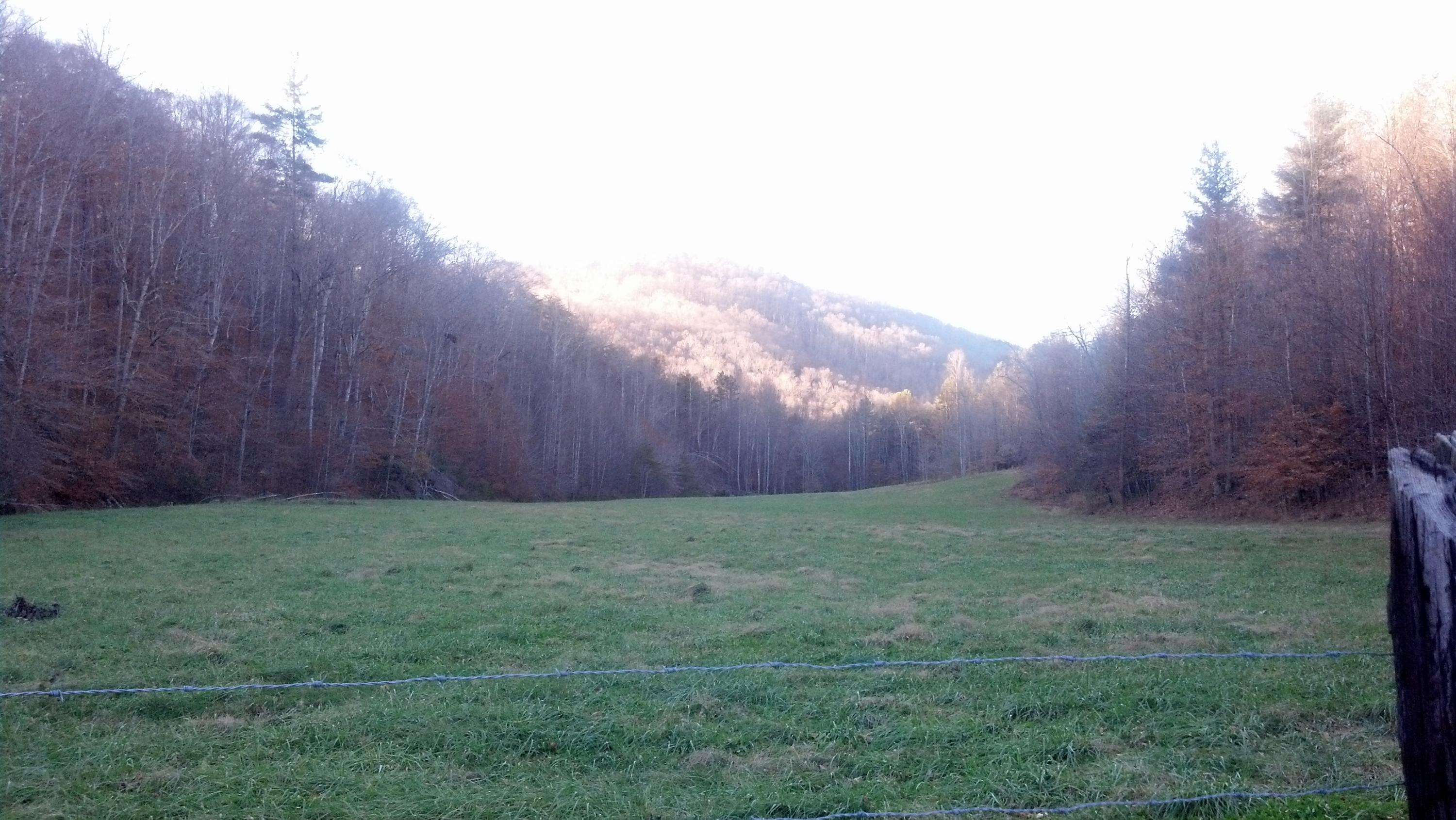7807 Gum Fork Road Winfield, TN 37892 - Photo 23 of 40 taggedSet_content#x3a##x47##x47#media#x4
