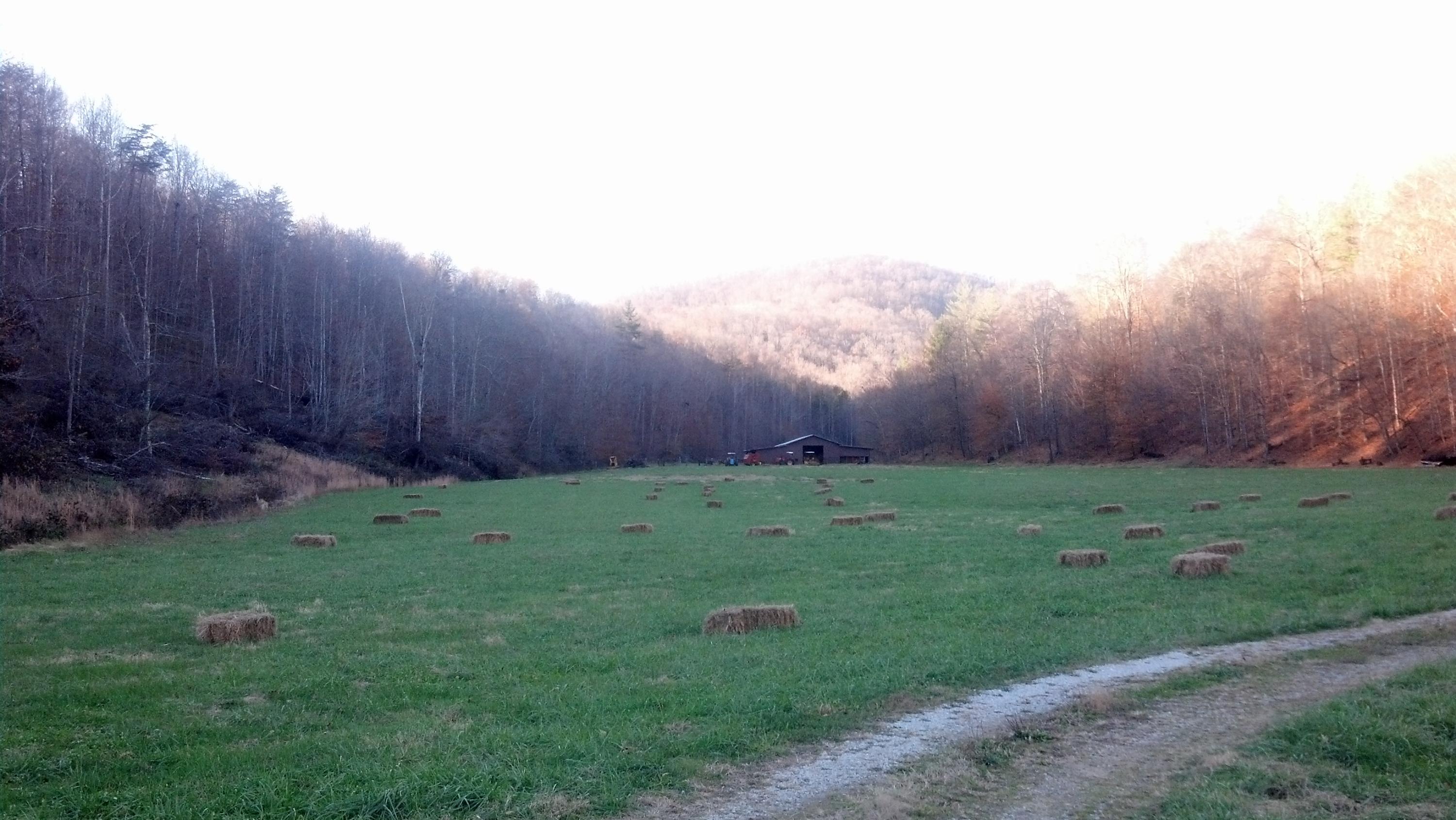 7807 Gum Fork Road Winfield, TN 37892 - Photo 25 of 40 taggedSet_content#x3a##x47##x47#media#x4