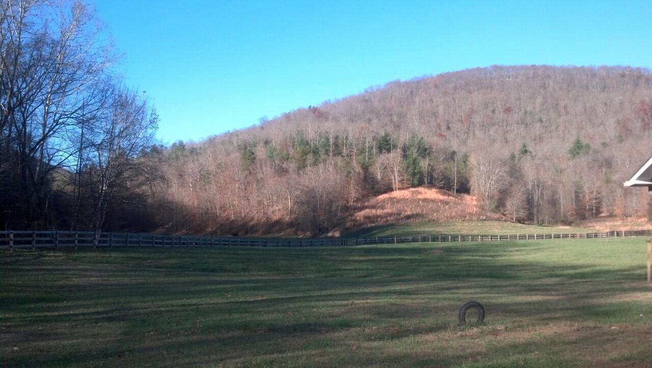 7807 Gum Fork Road Winfield, TN 37892 - Photo 6 of 40 taggedSet_content#x3a##x47##x47#media#x4
