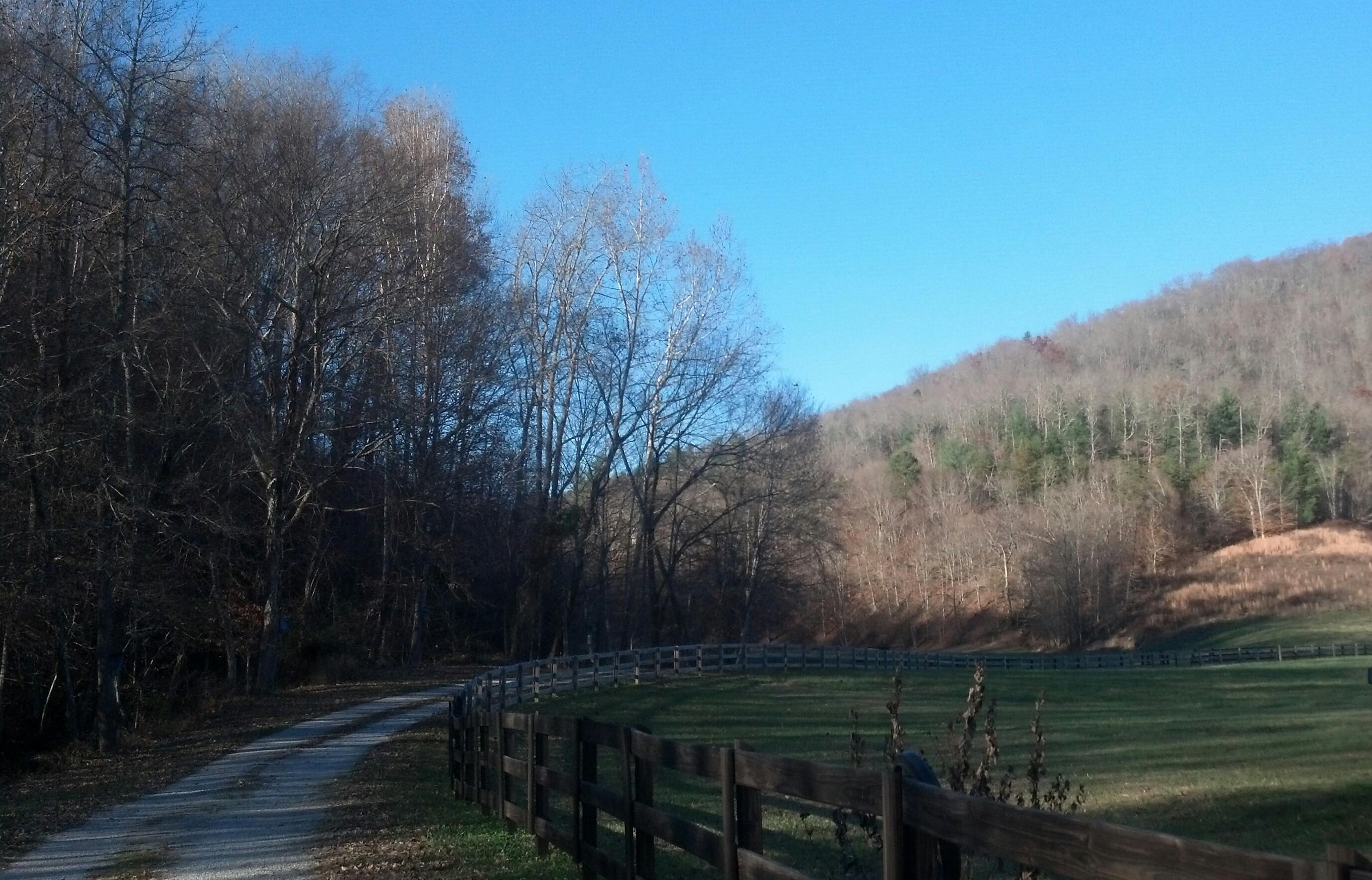 7807 Gum Fork Road Winfield, TN 37892 - Photo 7 of 40 taggedSet_content#x3a##x47##x47#media#x4