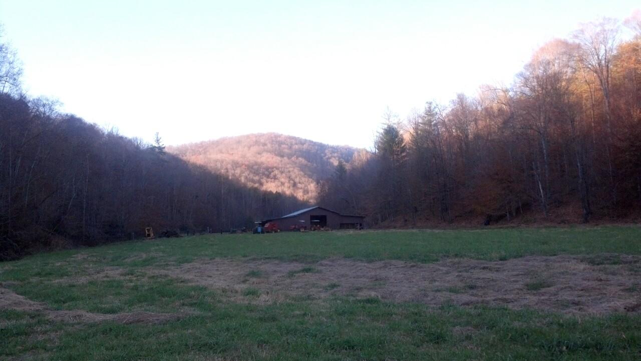7807 Gum Fork Road Winfield, TN 37892 - Photo 8 of 40 taggedSet_content#x3a##x47##x47#media#x4