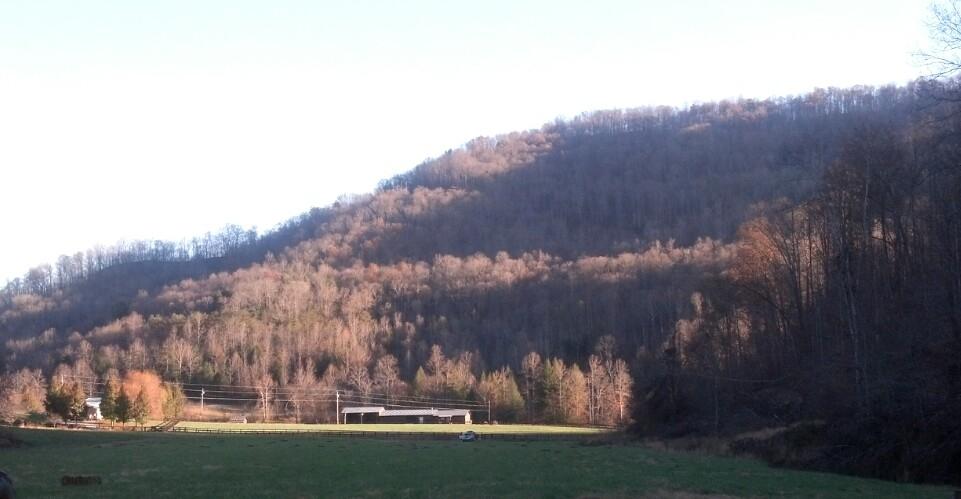 7807 Gum Fork Road Winfield, TN 37892 - Photo 9 of 40 taggedSet_content#x3a##x47##x47#media#x4