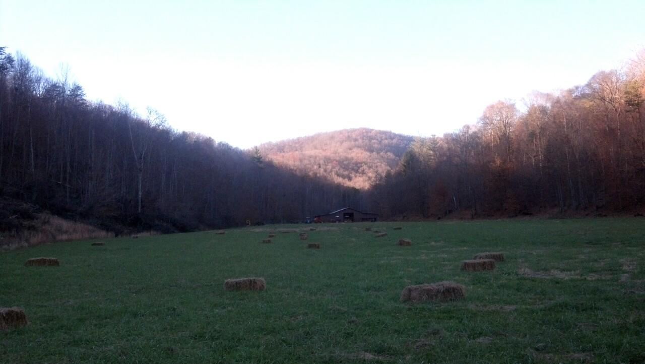 7807 Gum Fork Road Winfield, TN 37892 - Photo 10 of 40 taggedSet_content#x3a##x47##x47#media#x4