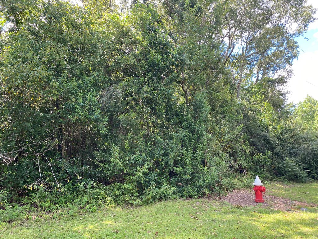 0 Ruby Drive Dothan, AL 36303 - Photo 3 of 3