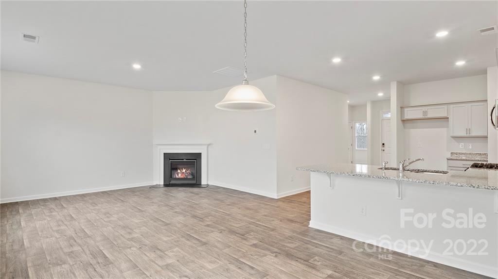 234 Roper Street, Unit 24 Candler, NC 28715 - Photo 4 of 20 Gallery Image 4