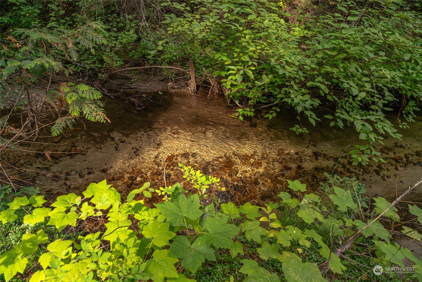 0 West Fork Road Conconully, WA 98819 - Photo 17 of 23 Gallery Image 17