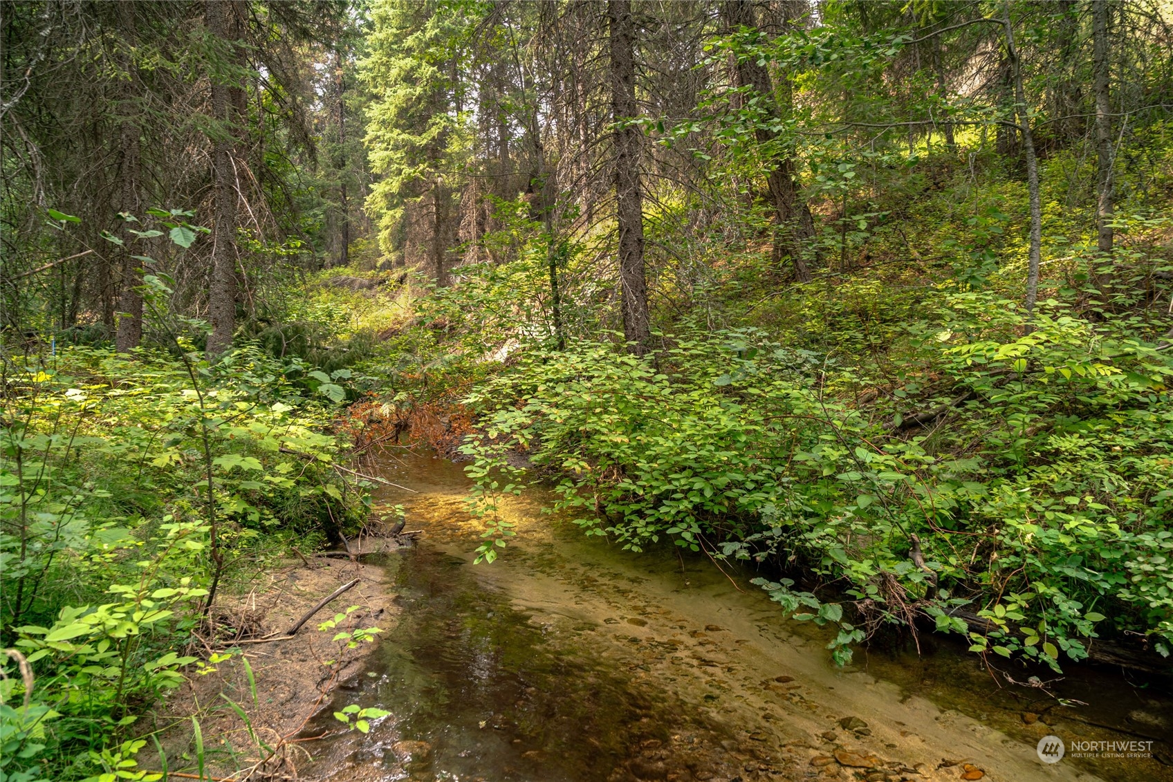 0 West Fork Road Conconully, WA 98819 - Photo 18 of 23 Gallery Image 18