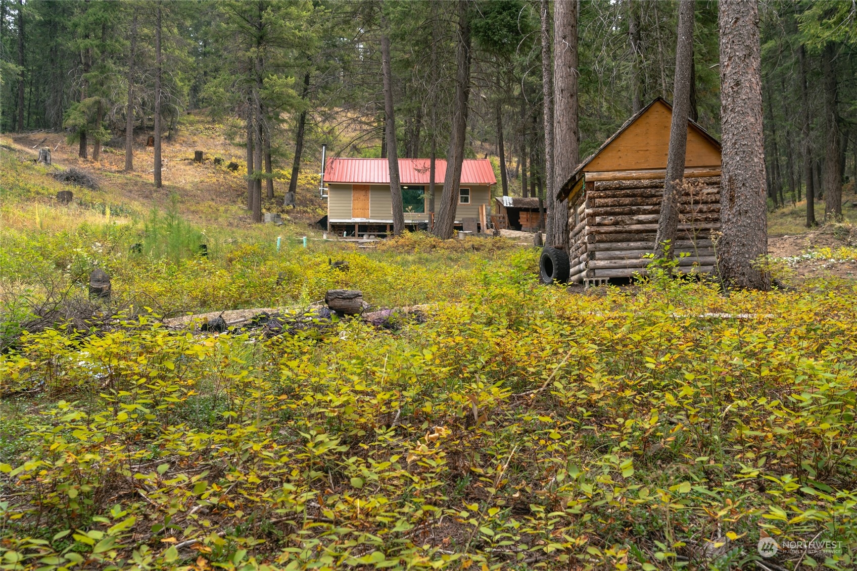 0 West Fork Road Conconully, WA 98819 - Photo 19 of 23 Gallery Image 19