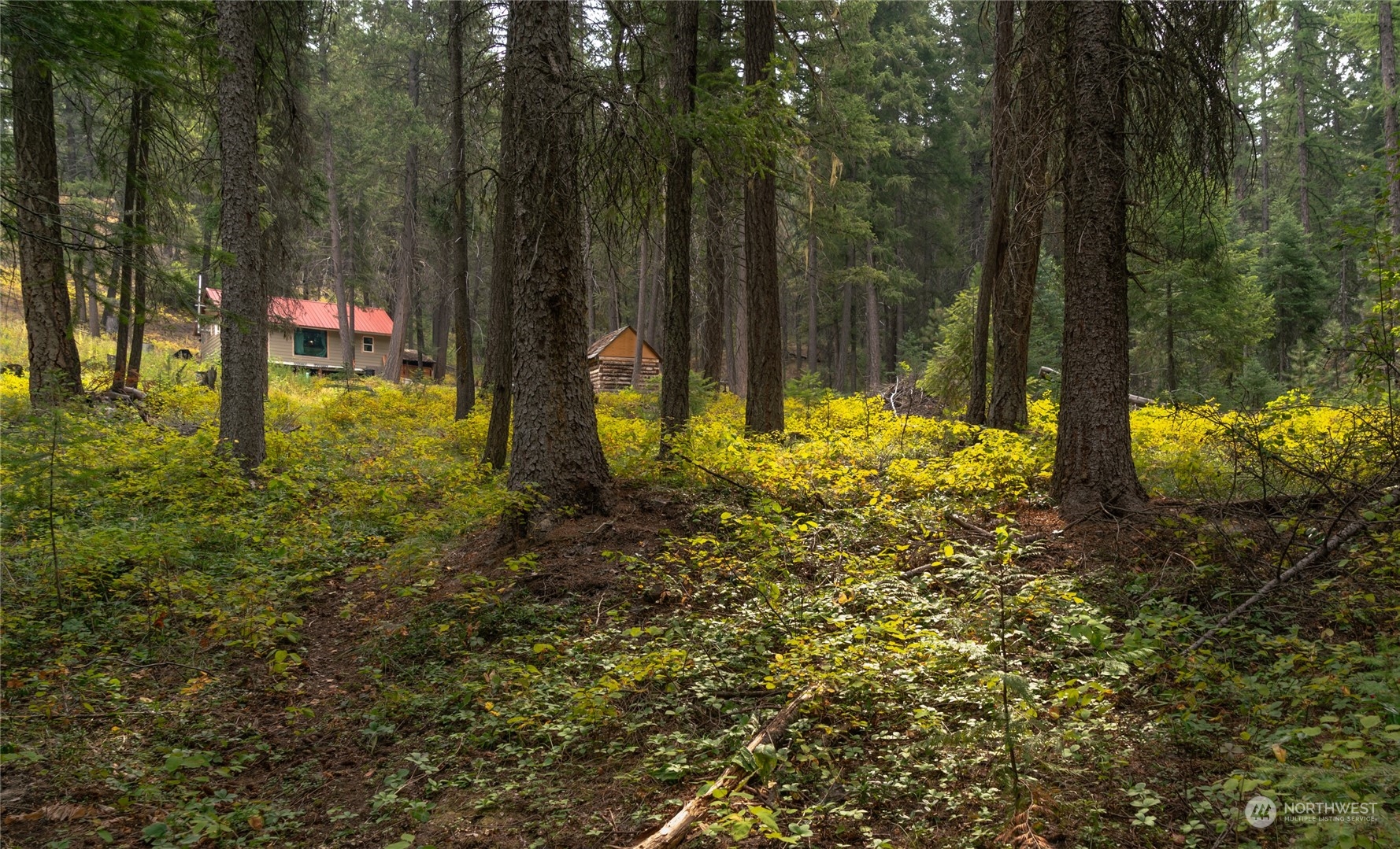 0 West Fork Road Conconully, WA 98819 - Photo 20 of 23 Gallery Image 20