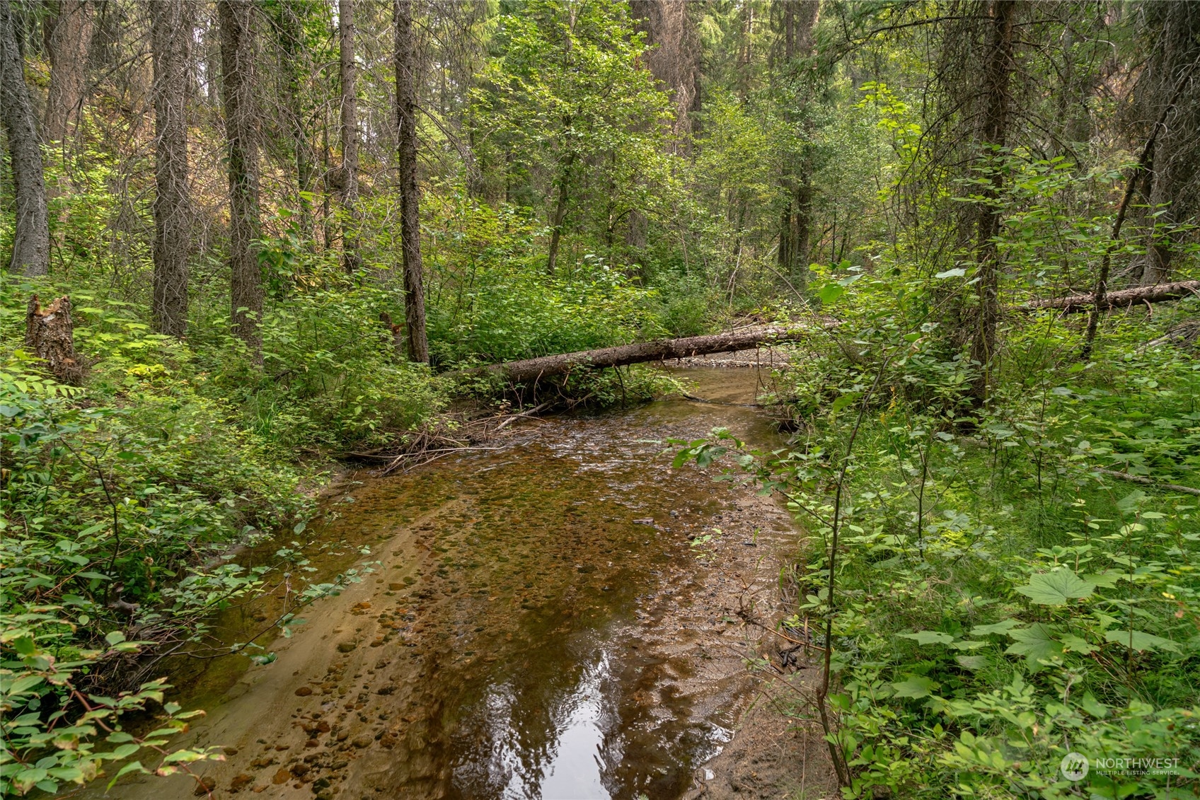 0 West Fork Road Conconully, WA 98819 - Photo 3 of 23 Gallery Image 3