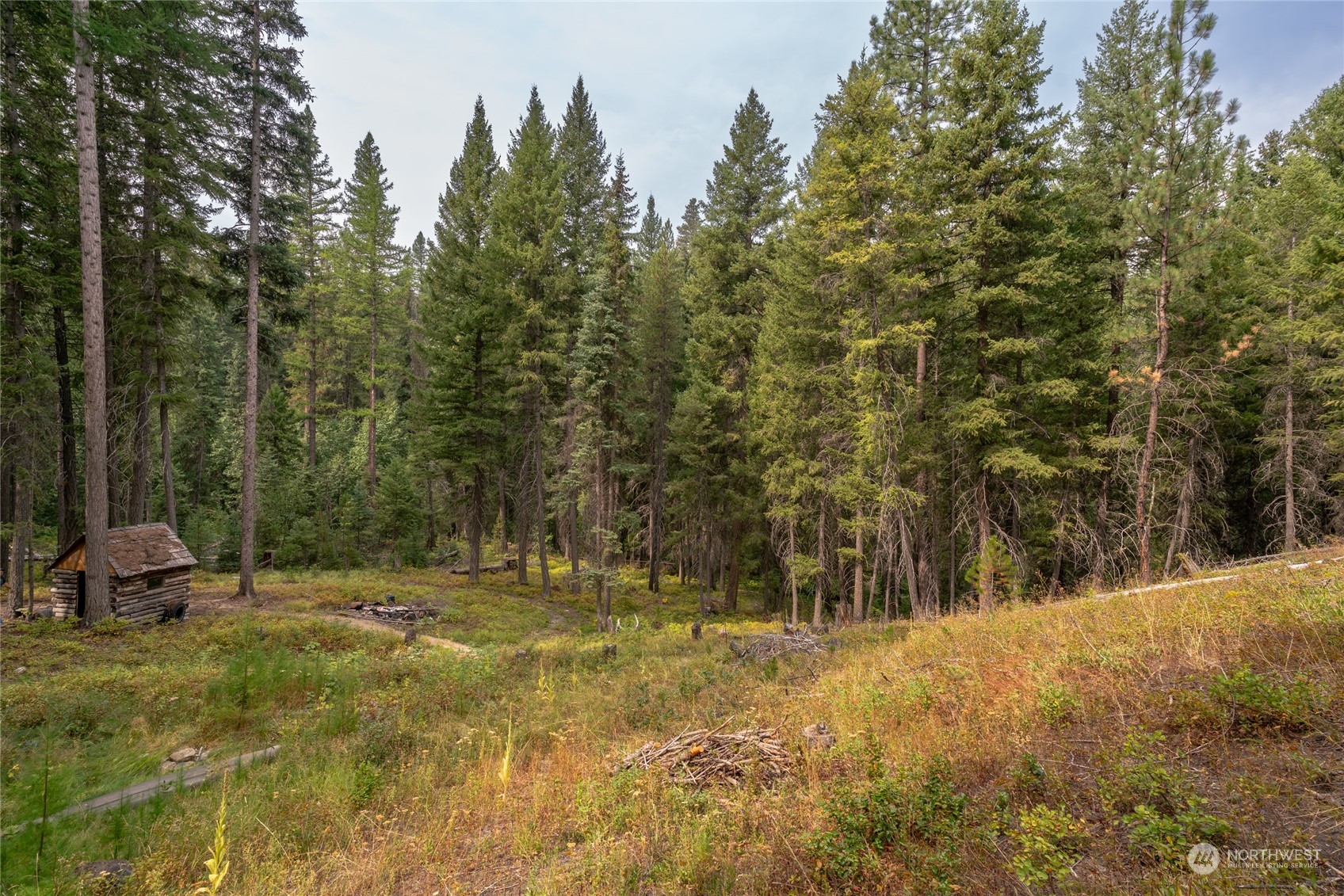0 West Fork Road Conconully, WA 98819 - Photo 6 of 23 Gallery Image 6