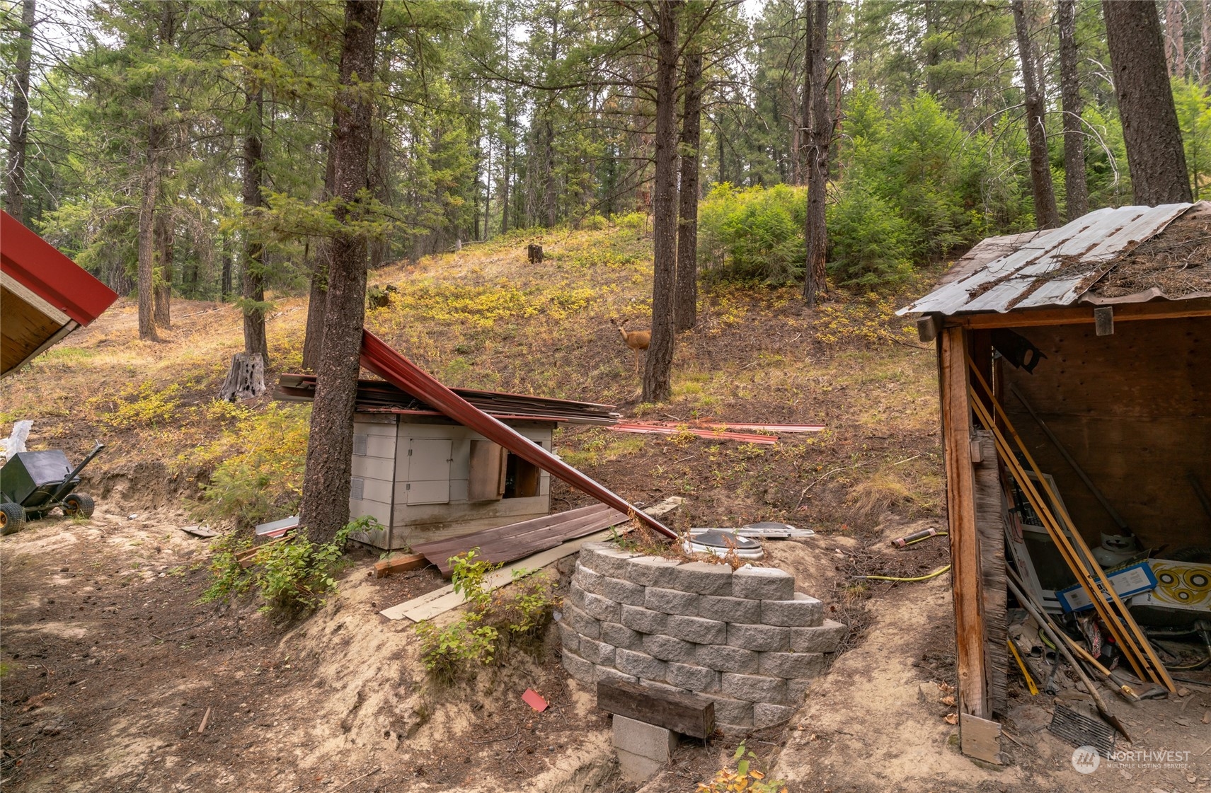 0 West Fork Road Conconully, WA 98819 - Photo 10 of 23 Gallery Image 10