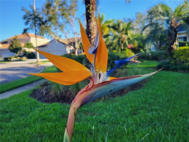 $900,000 | 6614 Tallmast Circle, Lakewood Ranch, FL 34202