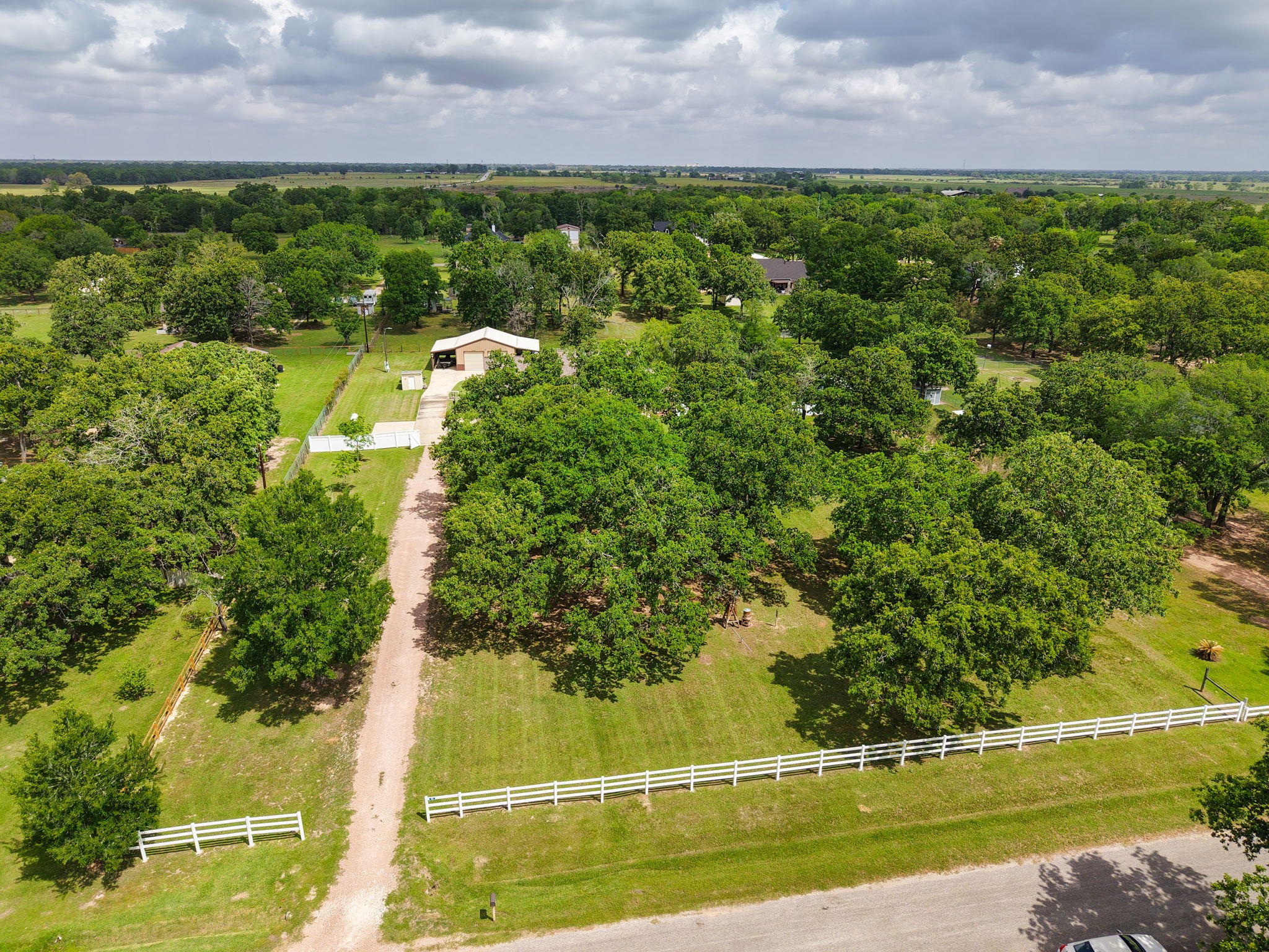101 Pin Oak Lane Hempstead, TX 77445 - Photo 2 of 50 a view of a yard with a plants and large trees