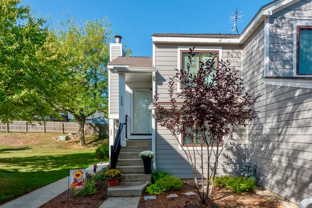 $295,000 | 125 Manchester Court, Unit 125, Schaumburg, IL 60193