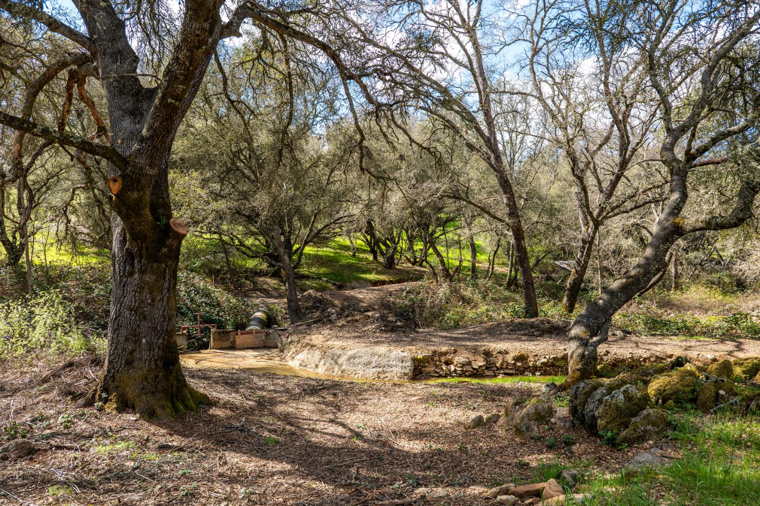 10925 Joeger Road Auburn, CA 95602 - Photo 10 of 24 a view of dirt yard with a tree