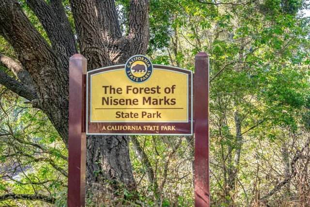 a sign broad on a tree in the background