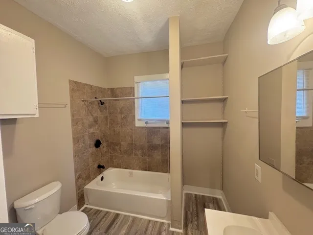 a bathroom with a toilet and a bathtub