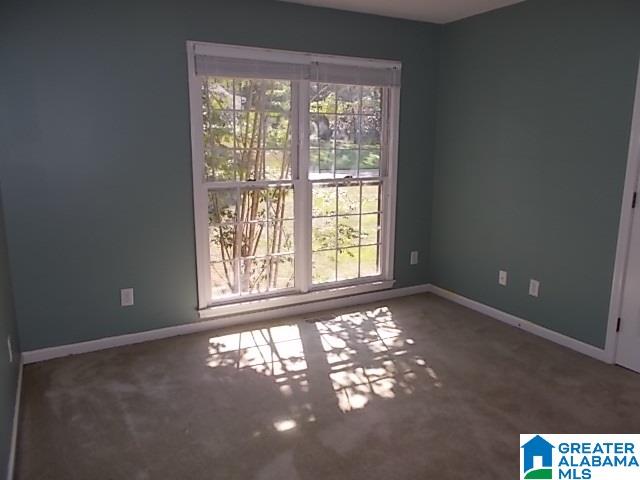 376 Timber Trail Chelsea, AL 35043 - Photo 17 of 35 Gallery Image 17
