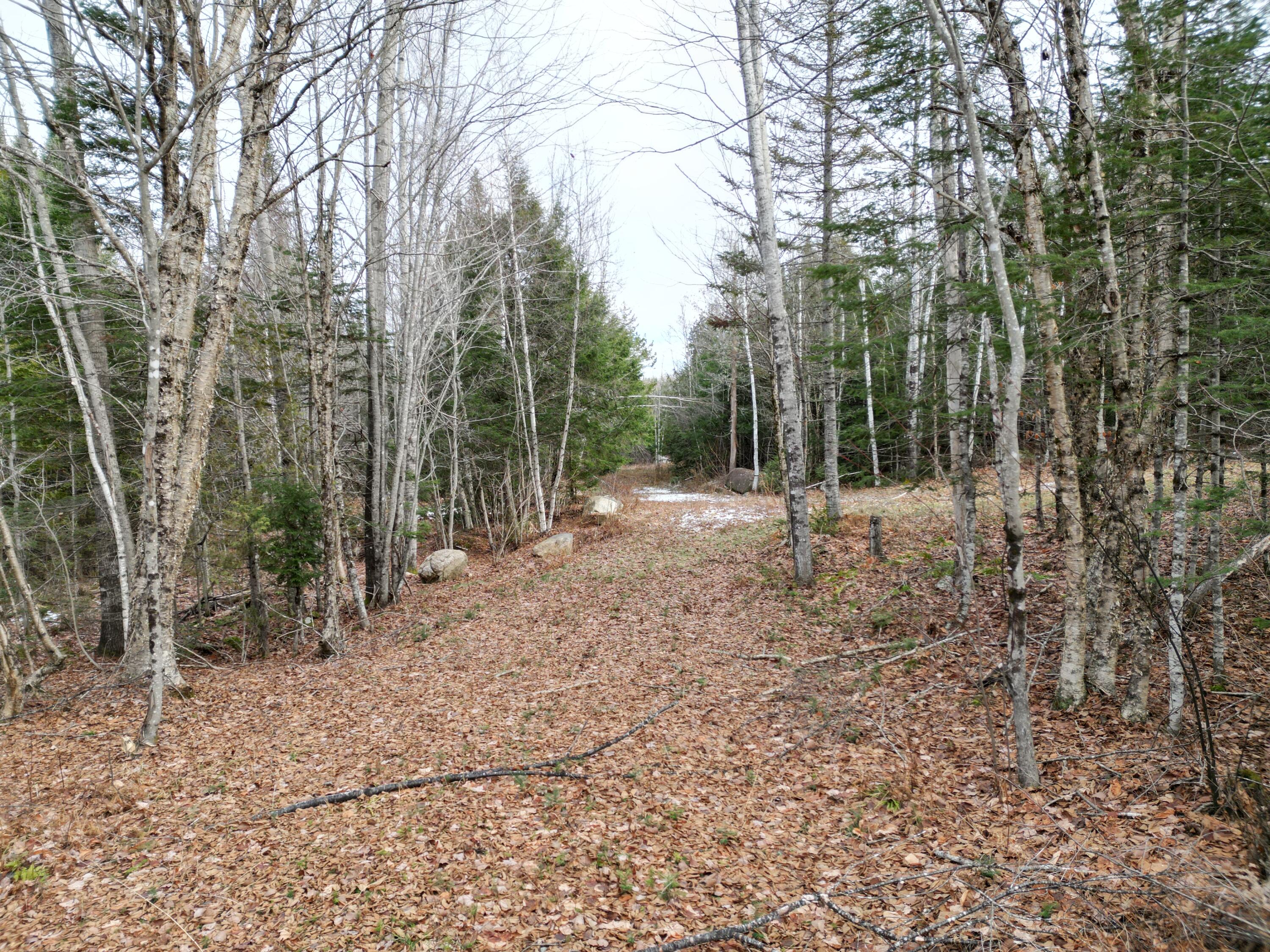 9 Upper Dobsis Road Lakeville, ME 04487 - Photo 8 of 29 DJI_0402