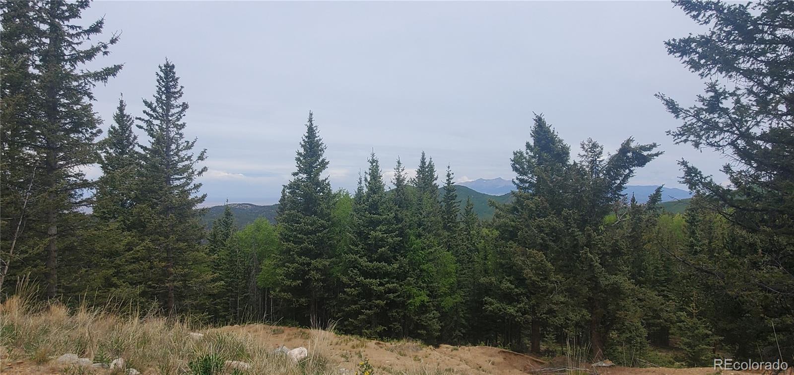 6601 Heckman Road San Luis, CO 81152 - Photo 8 of 25