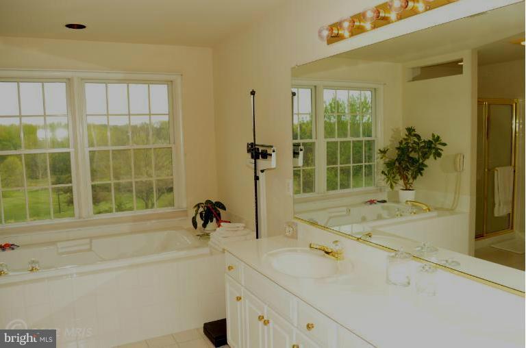 3921 Sharp Road Glenwood, MD 21738 - Photo 4 of 19 Bath (Master)