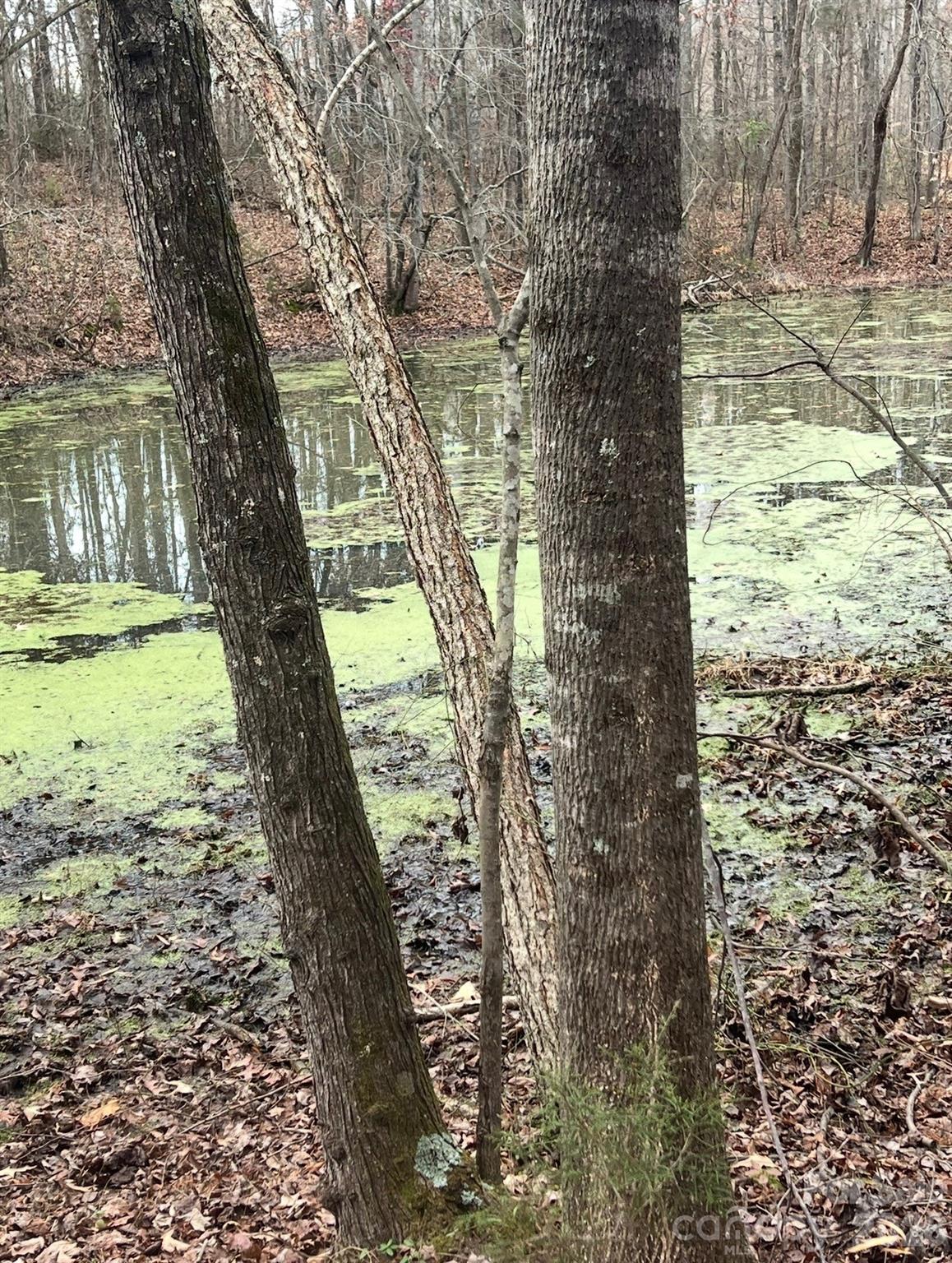 0 Fish Pond Road Salisbury, NC 28146 - Photo 2 of 7 Gallery Image 2