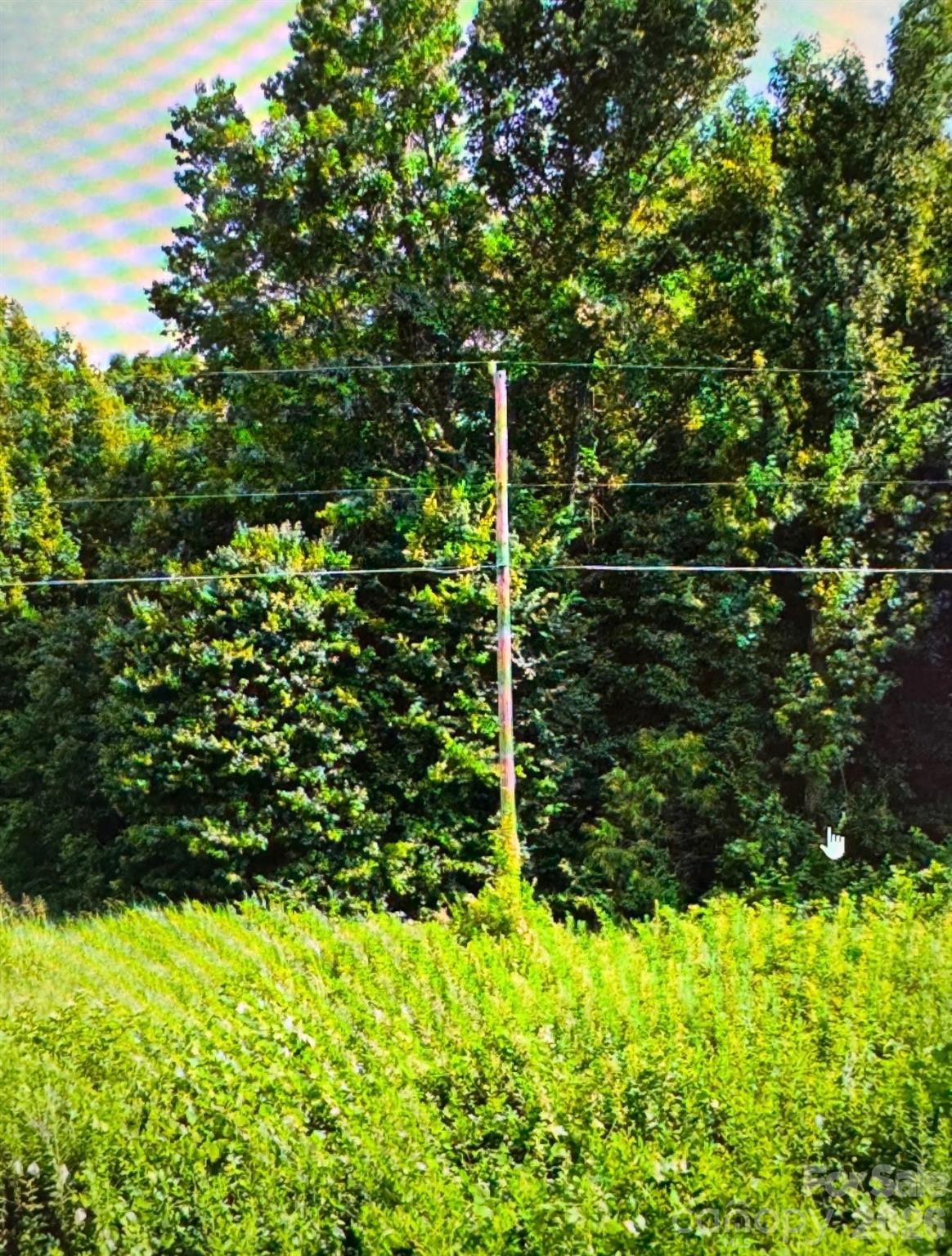 0 Fish Pond Road Salisbury, NC 28146 - Photo 7 of 7 Gallery Image 7