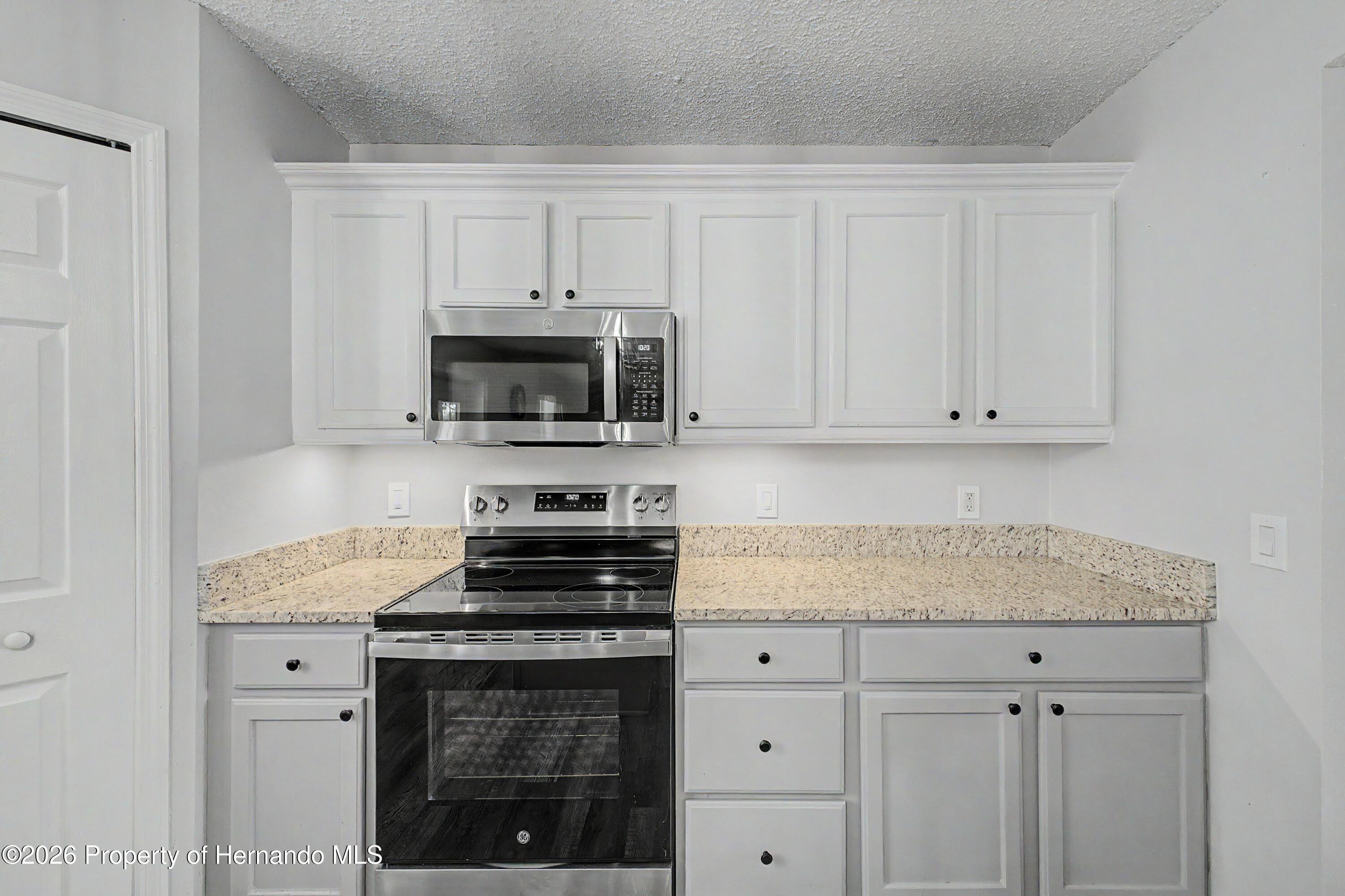 1382 Larkin Road Spring Hill, FL 34608 - Photo 17 of 59