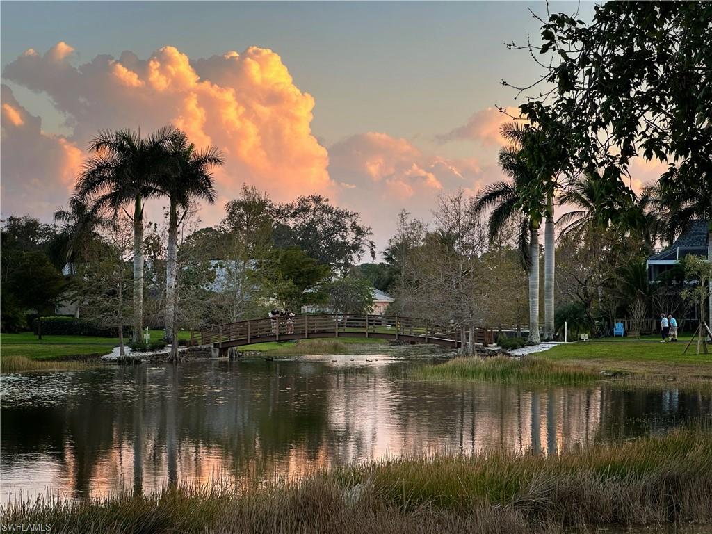 2708 Santa Cruz Boulevard Naples, FL 34112 - Photo 37 of 38 a view of a lake with a yard and palm trees